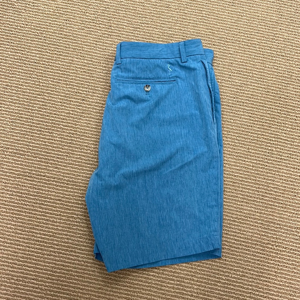Tailorbyrd Shorts, size 36